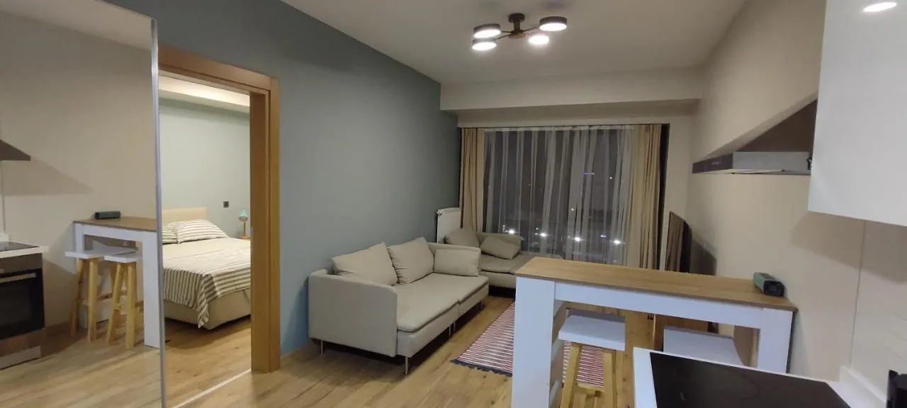 Apartamento Tips For Estambul