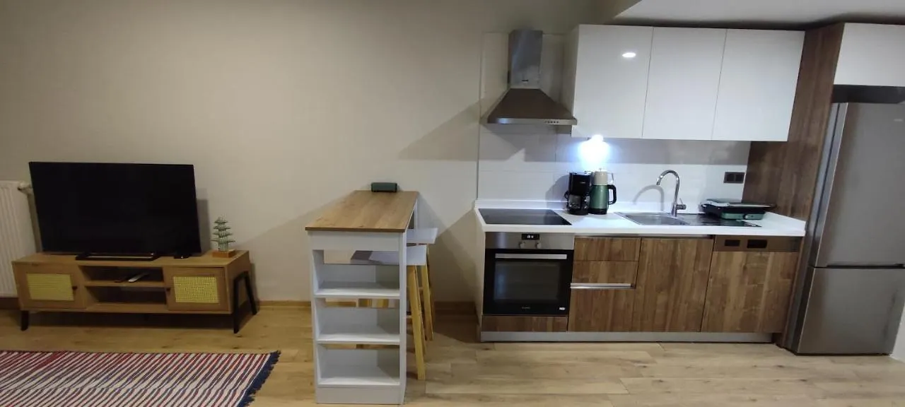 Apartamento Tips For Estambul Turquía