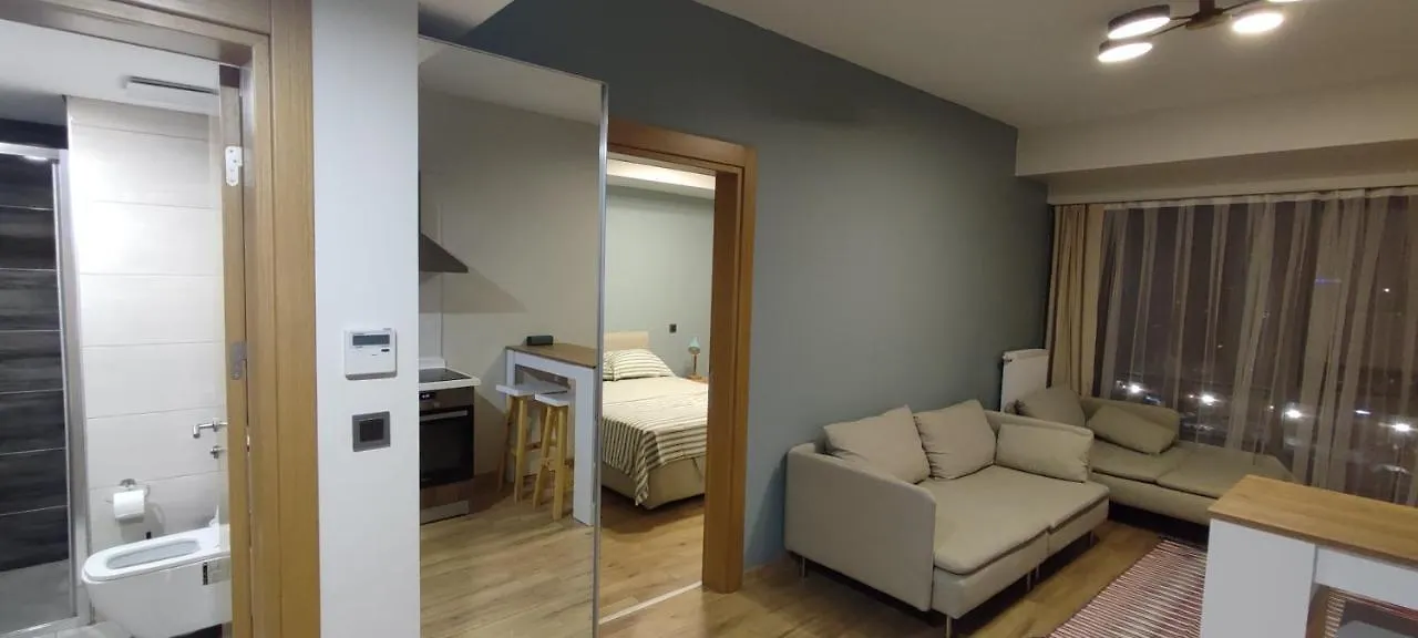 Apartamento Tips For Estambul